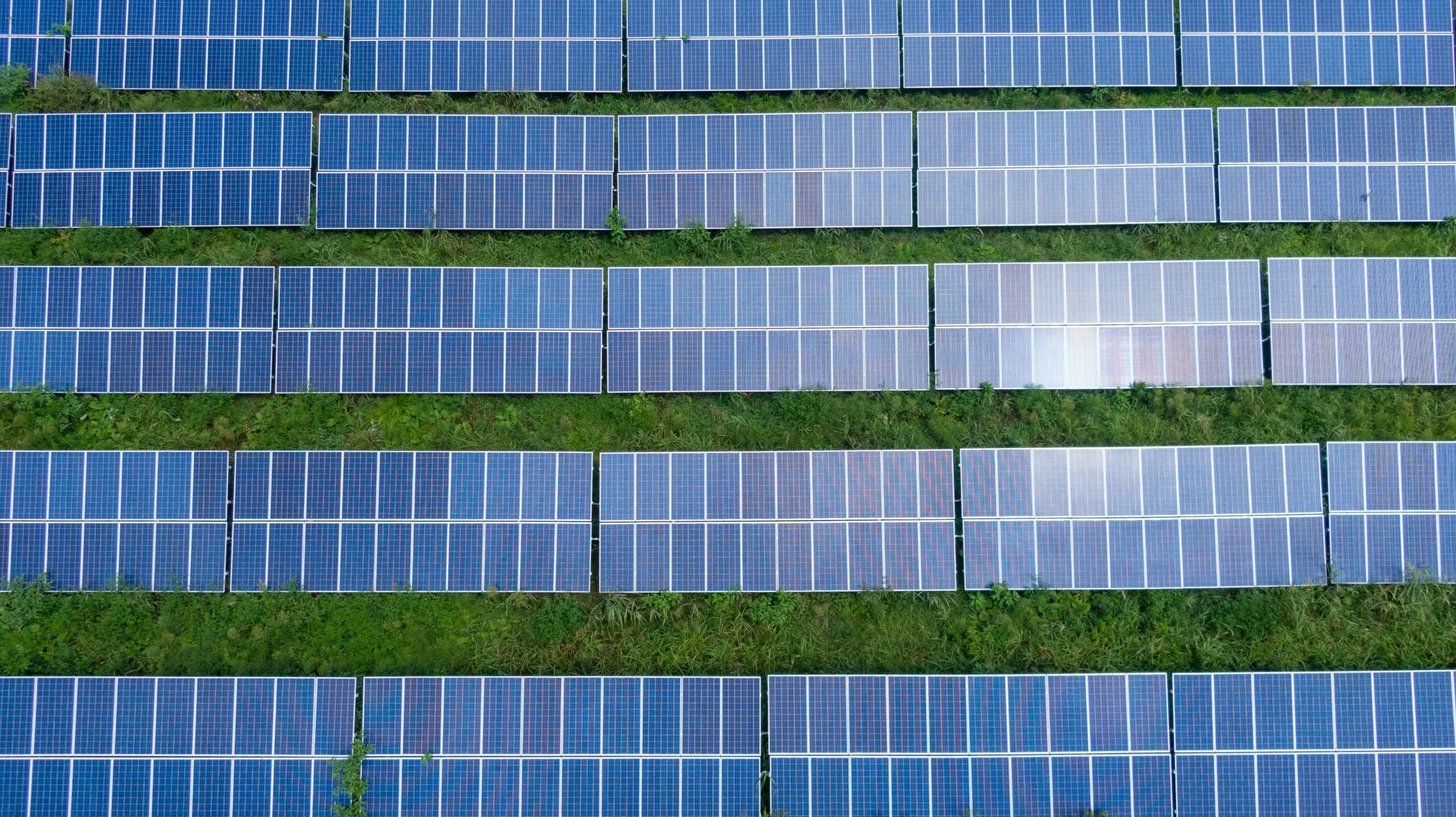 pexels-kelly-2800832